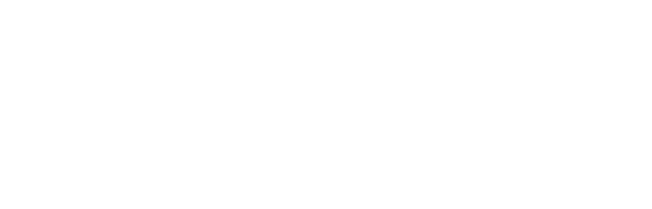 Dyzyne LLC